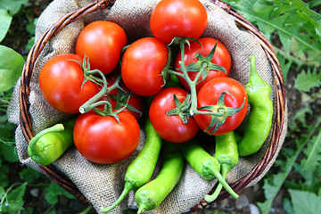 Image showing Basket full of tomatoes and peperoni