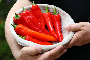 Image showing Man hold with arms a basket of red and green peperoni