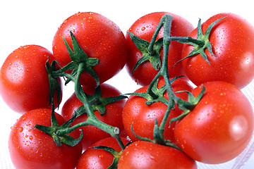 Image showing Close up of red tomatoes with drops of water