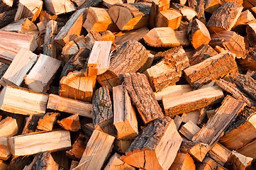 Image showing Chopped fire wood ready for winter cold