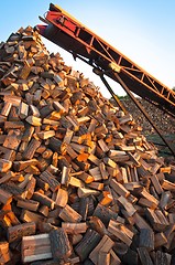 Image showing Chopped fire wood ready to be stacked for winter