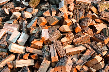 Image showing Texture of piled up firewood for the winter