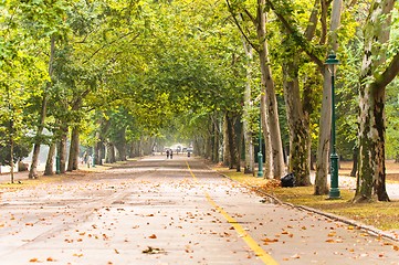 Image showing A long road in the park