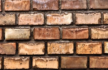 Image showing Texture of a brick wall