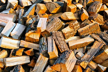 Image showing Texture of firewood piled up with evening light