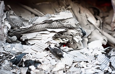 Image showing Paper burning in recycle center