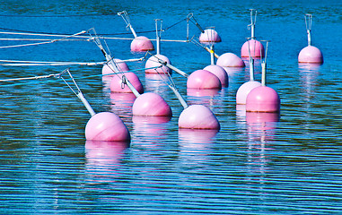 Image showing Many buoys