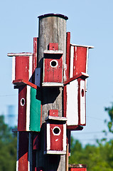 Image showing Birdhouses