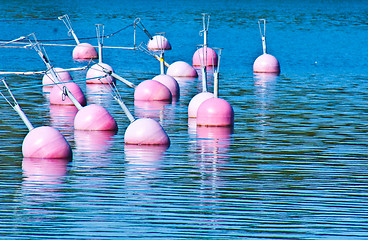 Image showing Many buoys