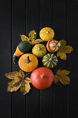 Image showing Pumpkins