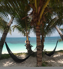 Image showing Tropical paradise