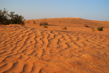 Image showing dry sand desert in middle east