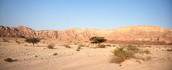 Image showing Travel in Arava desert