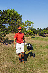 Image showing Golf player