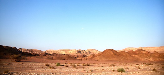 Image showing Travel in Arava desert