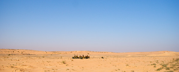 Image showing Israeli soldiers excersice in a desert