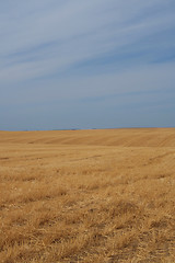 Image showing Farmland