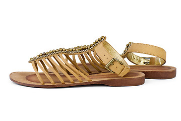Image showing Pair of brown leather female sandals