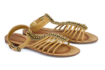 Image showing Pair of brown leather female sandals