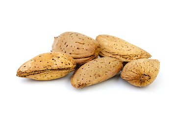 Image showing Five unshelled almonds