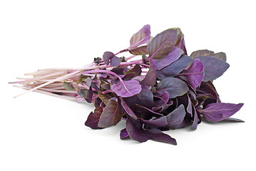 Image showing Bunch of red basil