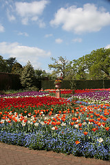 Image showing Beautiful gardens