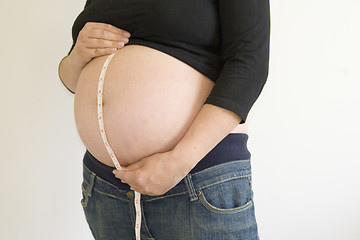 Image showing Pregnant Lady