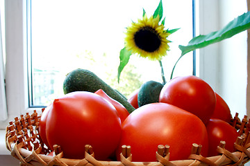 Image showing Foto of cucumber and tomatoes and sunflower