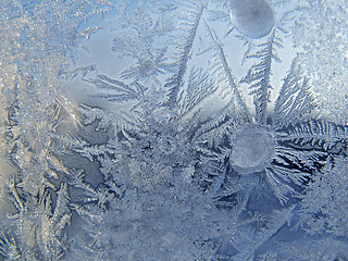 Image showing winter glass