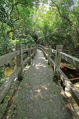 Image showing Bridge in the forest