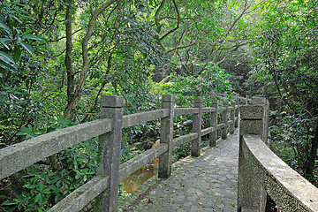 Image showing Bridge in the forest