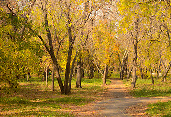 Image showing park