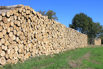 Image showing firewood