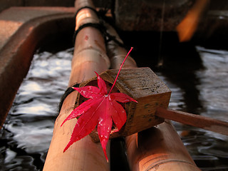 Image showing Autumn Japanese still life