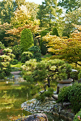 Image showing Japanese Garden