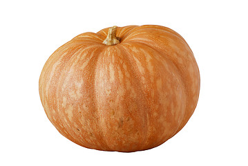 Image showing Whole orange ripe pumpkin