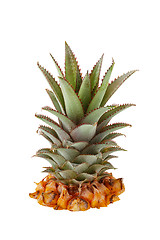 Image showing Fresh pineapple crown
