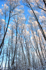 Image showing Winter landscape