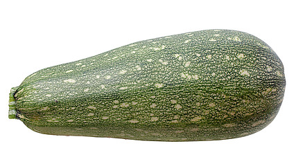Image showing Vegetable Marrow