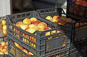 Image showing Peaches in the crates