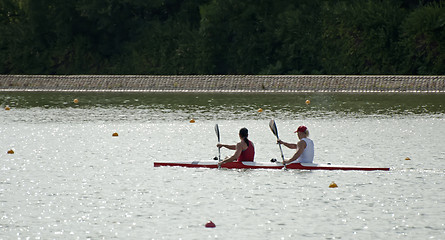 Image showing Rowers in a boat in line