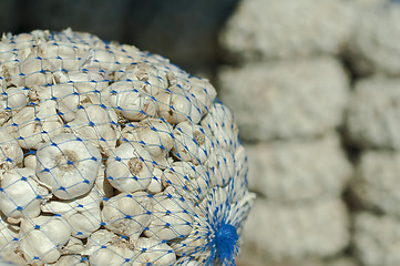 Image showing Mesh bag with garlic