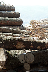 Image showing Timber. Planks and beams arranged