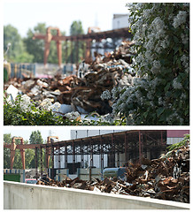 Image showing Flowers and piles of scrap iron