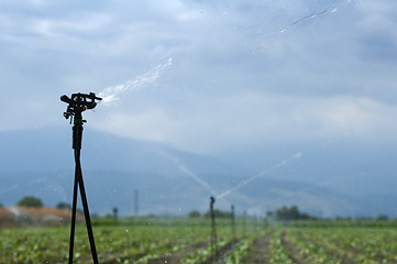 Image showing Irrigation