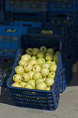 Image showing Apples in crates