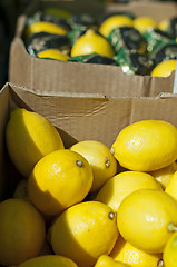 Image showing Lemons in boxes