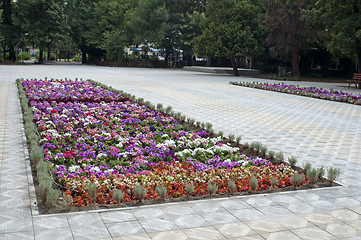 Image showing Flower Park