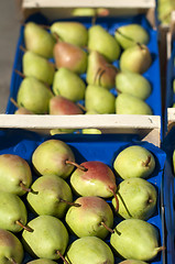 Image showing Pears in the crates in Wholesale market