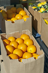 Image showing Oranges in boxes